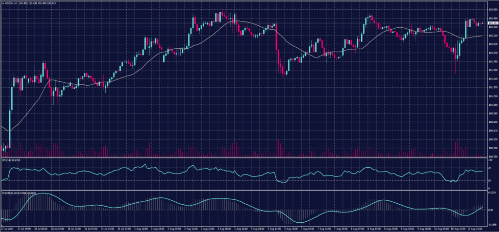 USDX 11